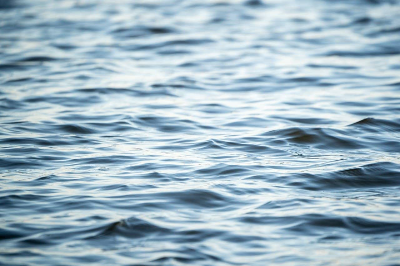 내재된 힘 발견 : 심리적 힘의 예술과 과학