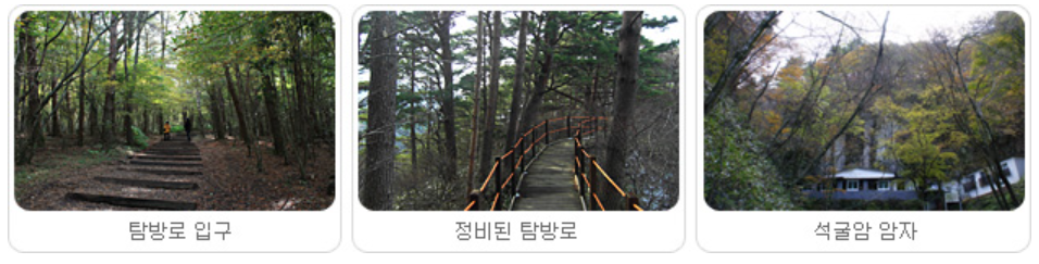석굴암 탐방로