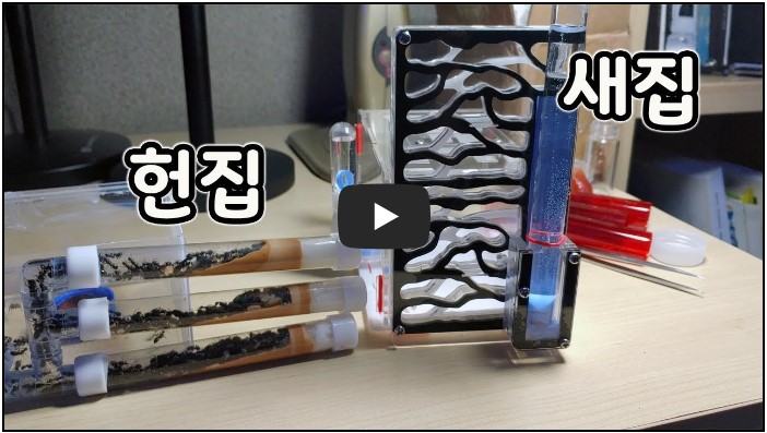 곤충 유튜버 순위 TOP 10 6