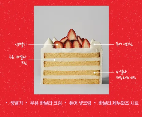 노티드 케이크