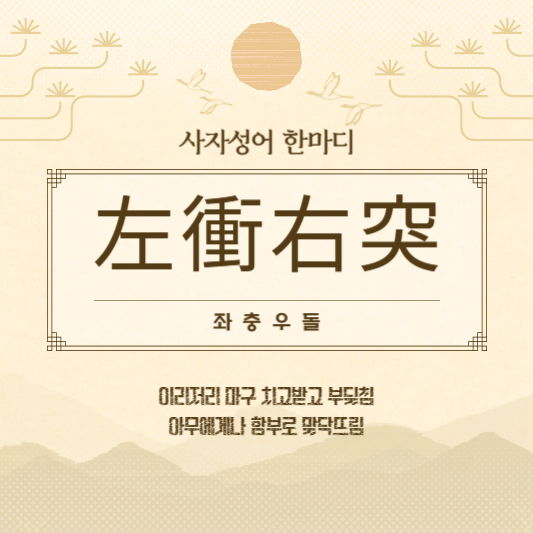 좌충우돌