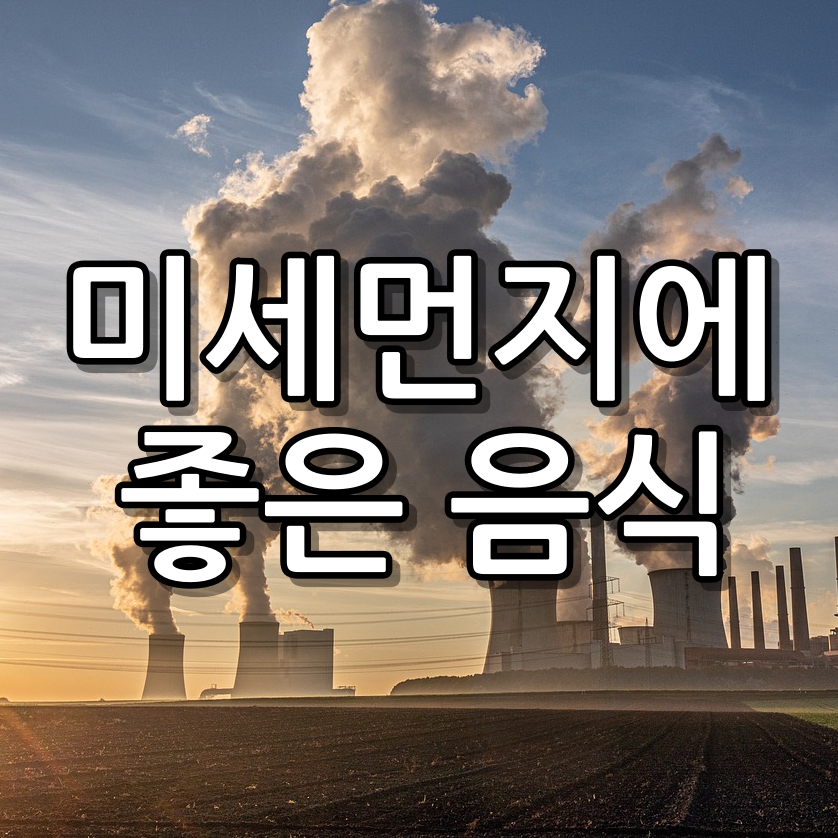 미세먼지 좋은 음식 best 5