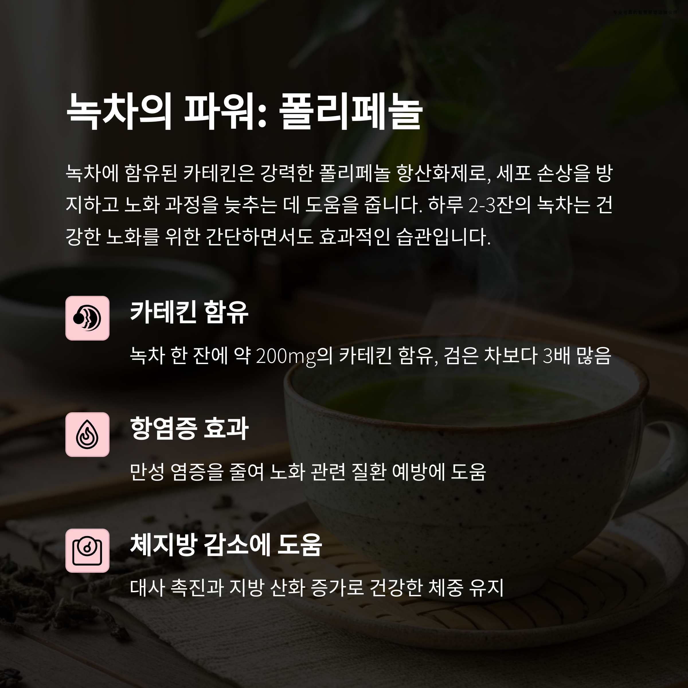 항산화물질4