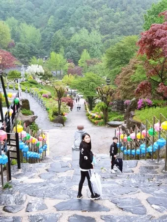 용인 가볼만한곳 추천 맛집 카페 봄 숨은 명소_8