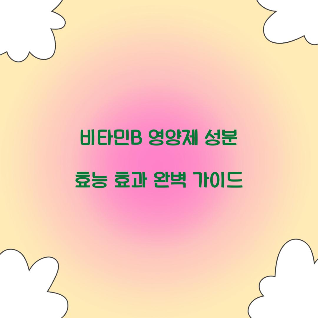 비타민B 영양제 성분 효능 효과