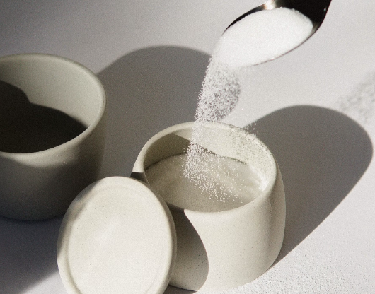 상황버섯 효능 : 혈당