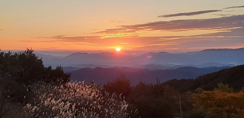 경남 일출 명소 2026 새해 해돋이