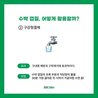 대구 수박껍질 음식물 일반쓰레기 과태료 피하는 법_20