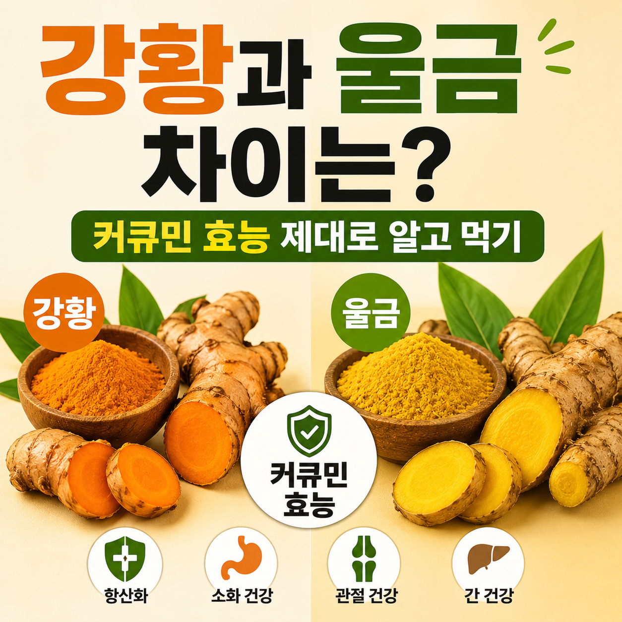 강황 효능