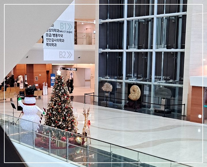 의정부을지대학교병원-크리스마스트리