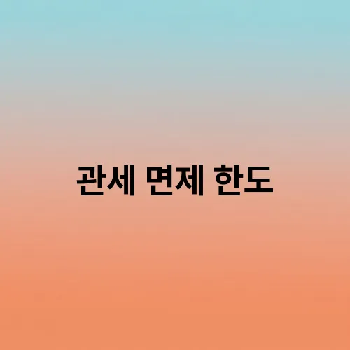 관세 면제 한도