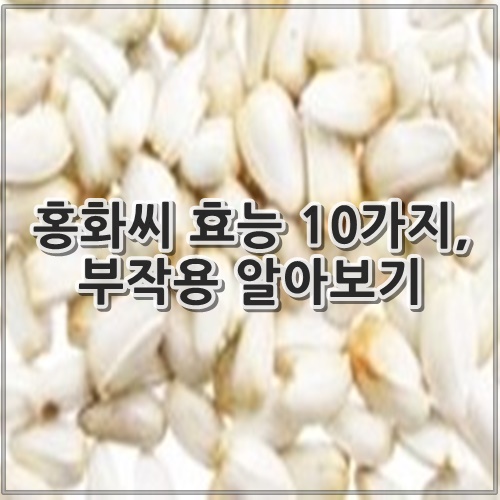 홍화씨 효능 10가지, 부작용 알아보기