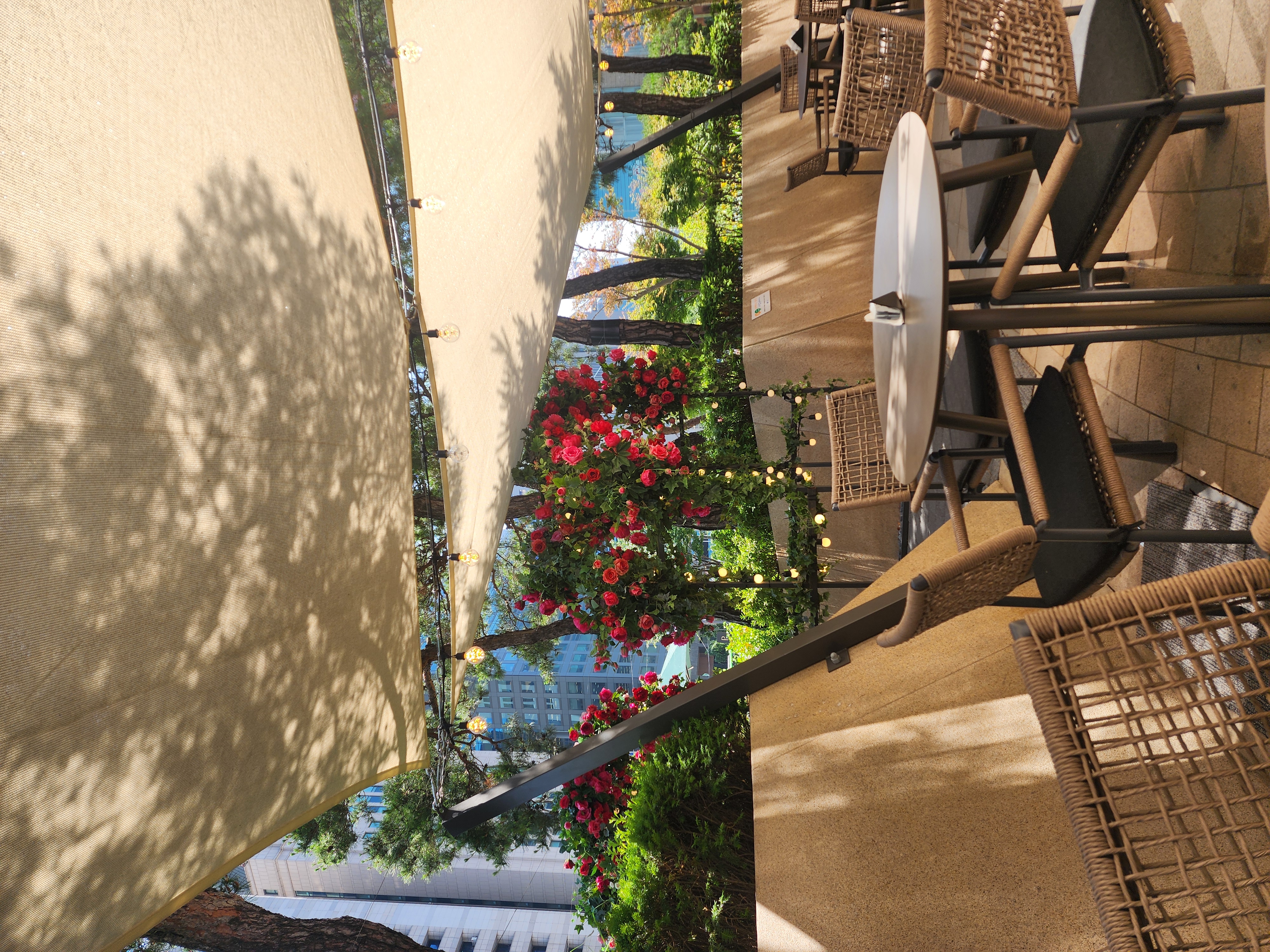 파르나스가든 in 삼성동 (+2025년 최신)