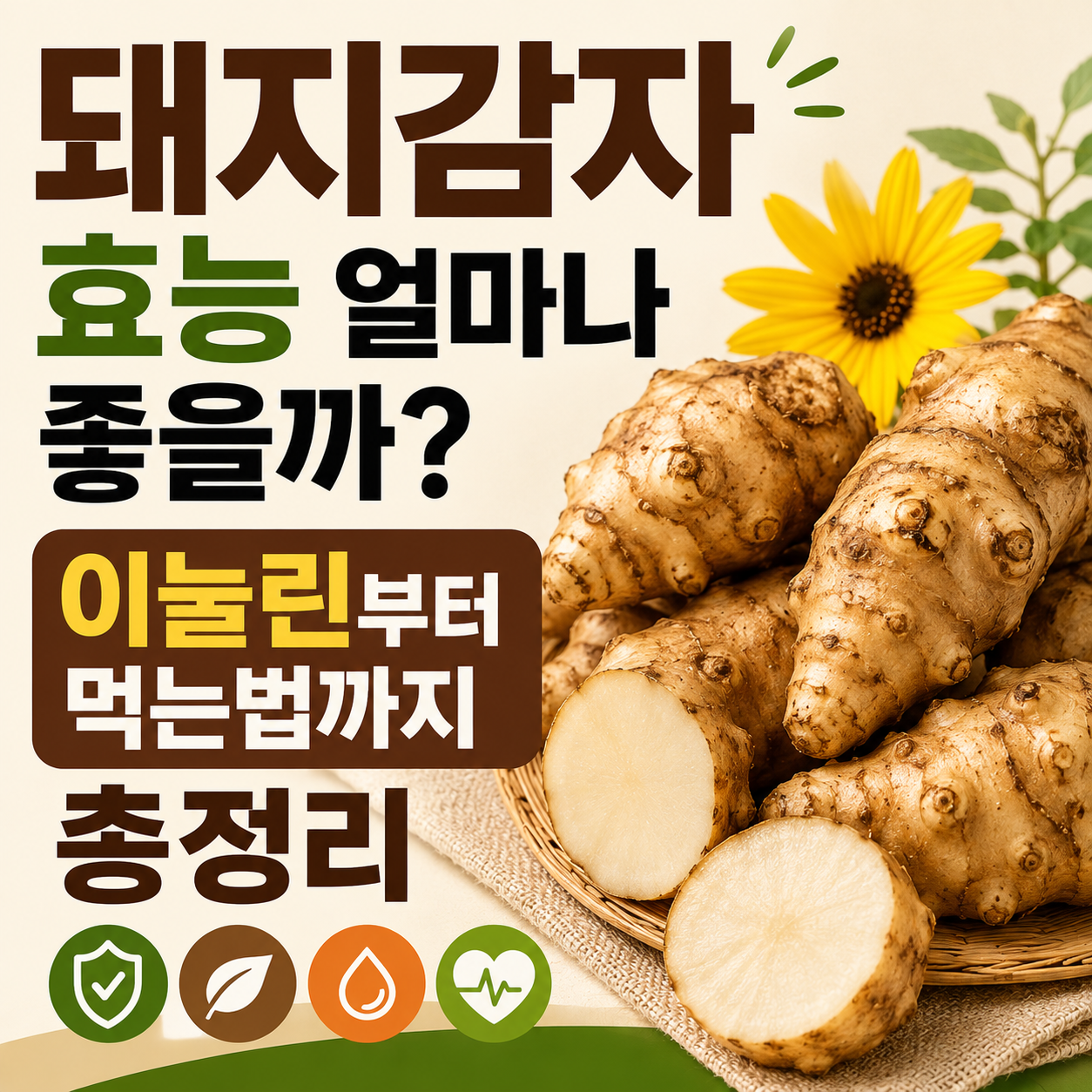 돼지감자 효능