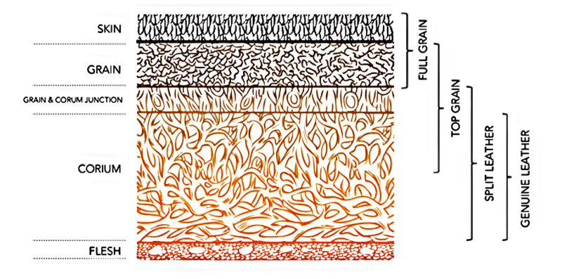 가죽의 가로부위, 커팅에 따라 가죽의 종류가 나눠지는 것을 설명하는 이미지