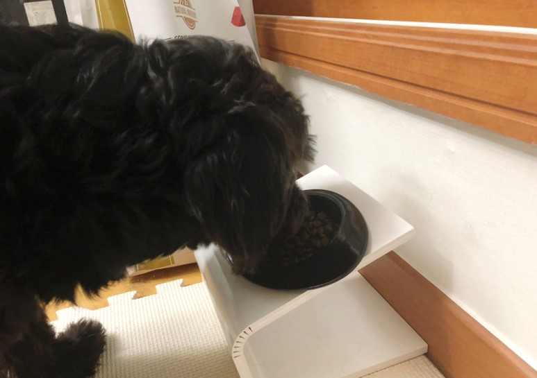 강아지사료 추천 ANF사료 더블미트 소고기 포 독