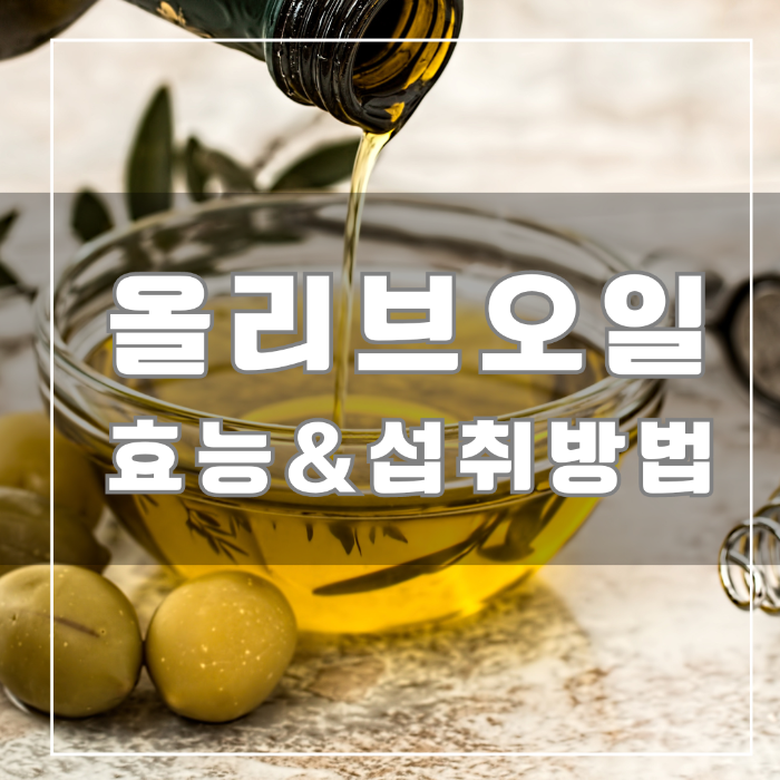올리브오일 효능 섭취방법