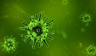 65세이상-대상포진-예방접종-무료-지원-신청방법