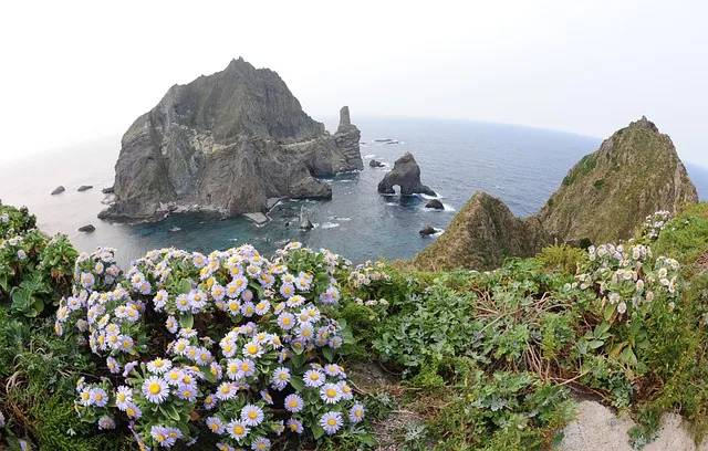 경북 울진 드라이브 코스 추천 전망대 포함 명소 탐방_3