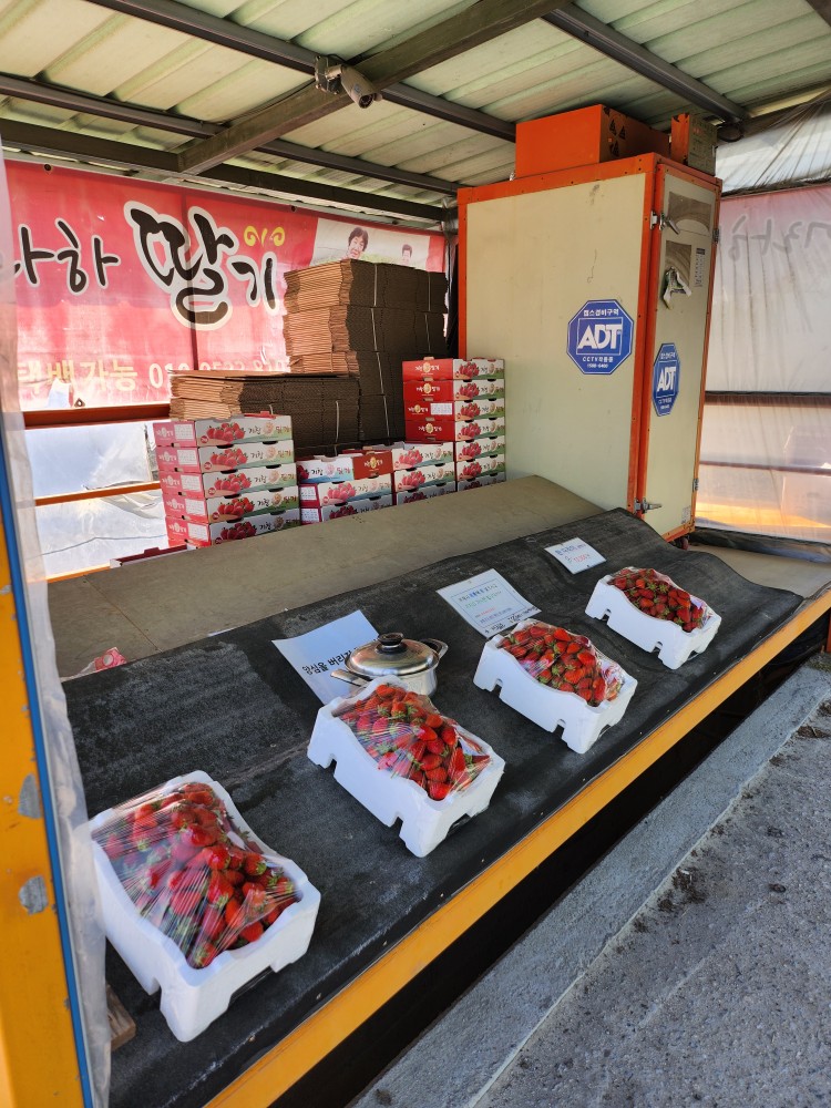 어라하 딸기 가판대