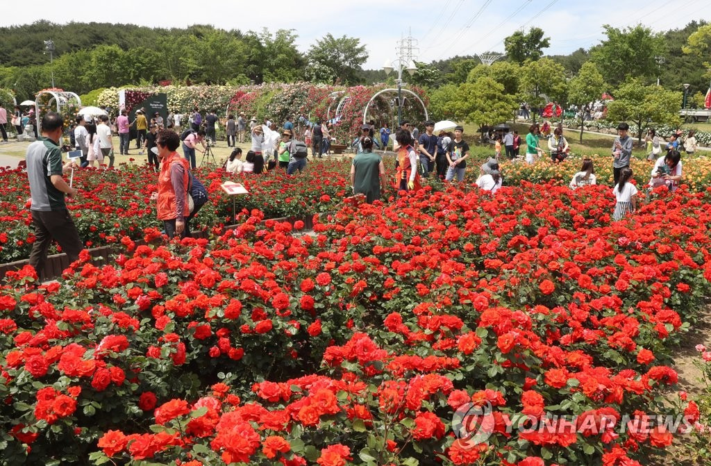 2025 울산 장미축제 메인 무대 행사 모습