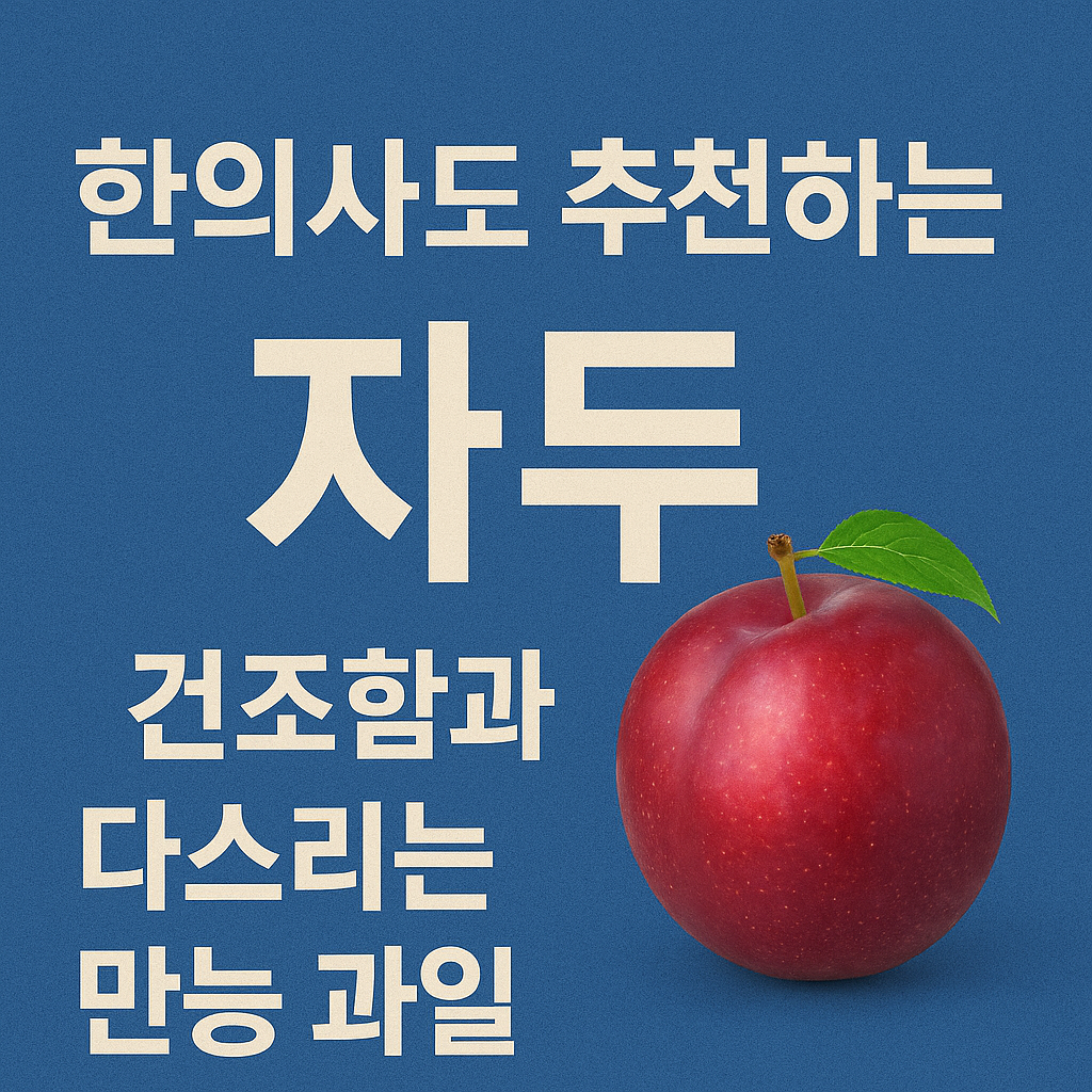 한의사도 추천하는 자두