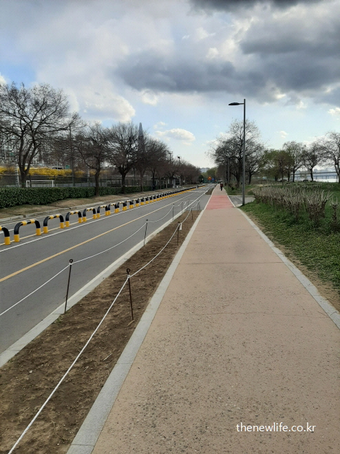 아스팔트 길과 시멘트 보행로 – 무릎 건강에 부담을 주는 걷기 환경