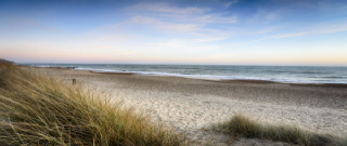 청년도약계좌 은행별 금리