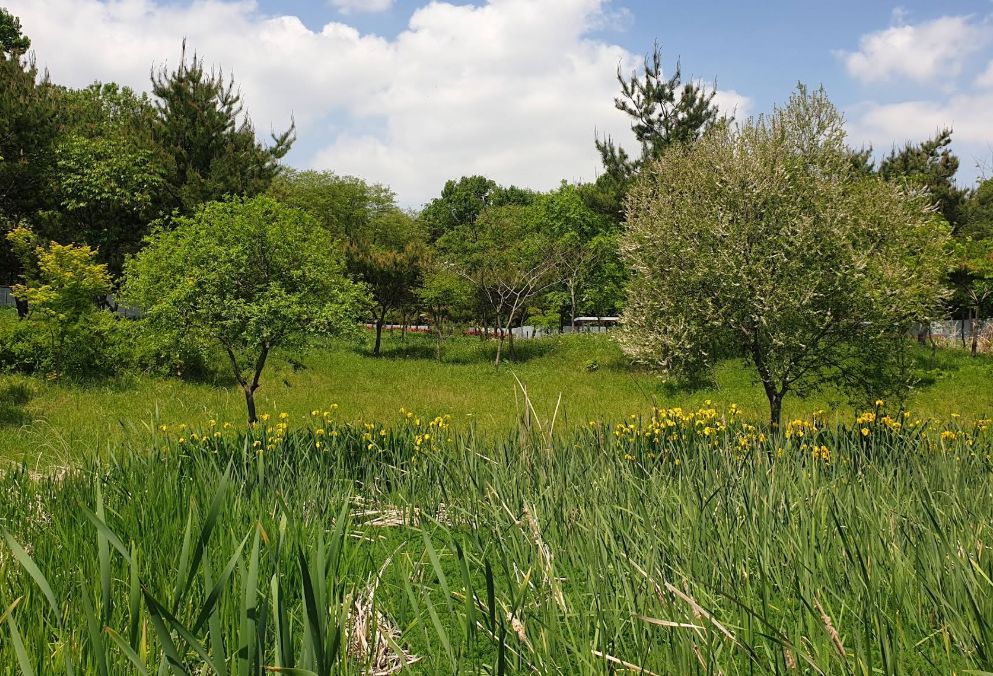 소라산 자연마당