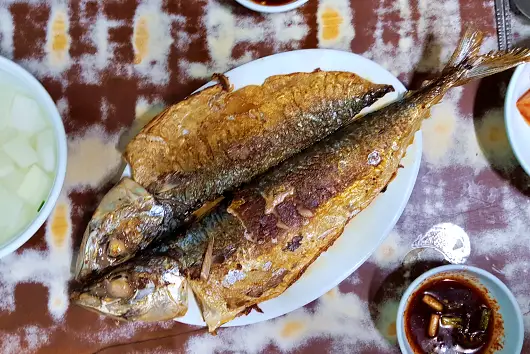 신계숙의 맛터싸이클 다이어리 돼지국밥 조개구이 우럭구이 고갈비 김치 고등어찜 부산 맛집과 가볼만한 곳 추천