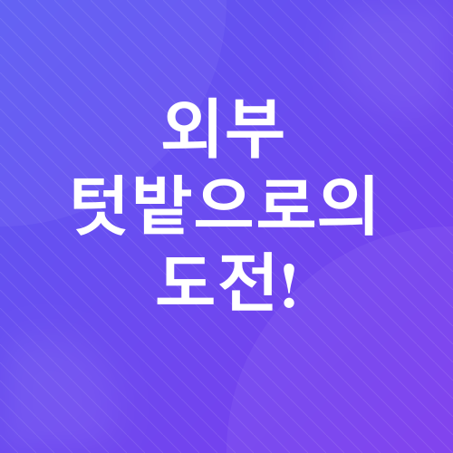 베란다 텃밭_7