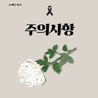 조의 인사말 모음 예시 메일_25