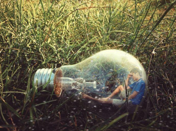 진드기-서식 환경과-번식-조건