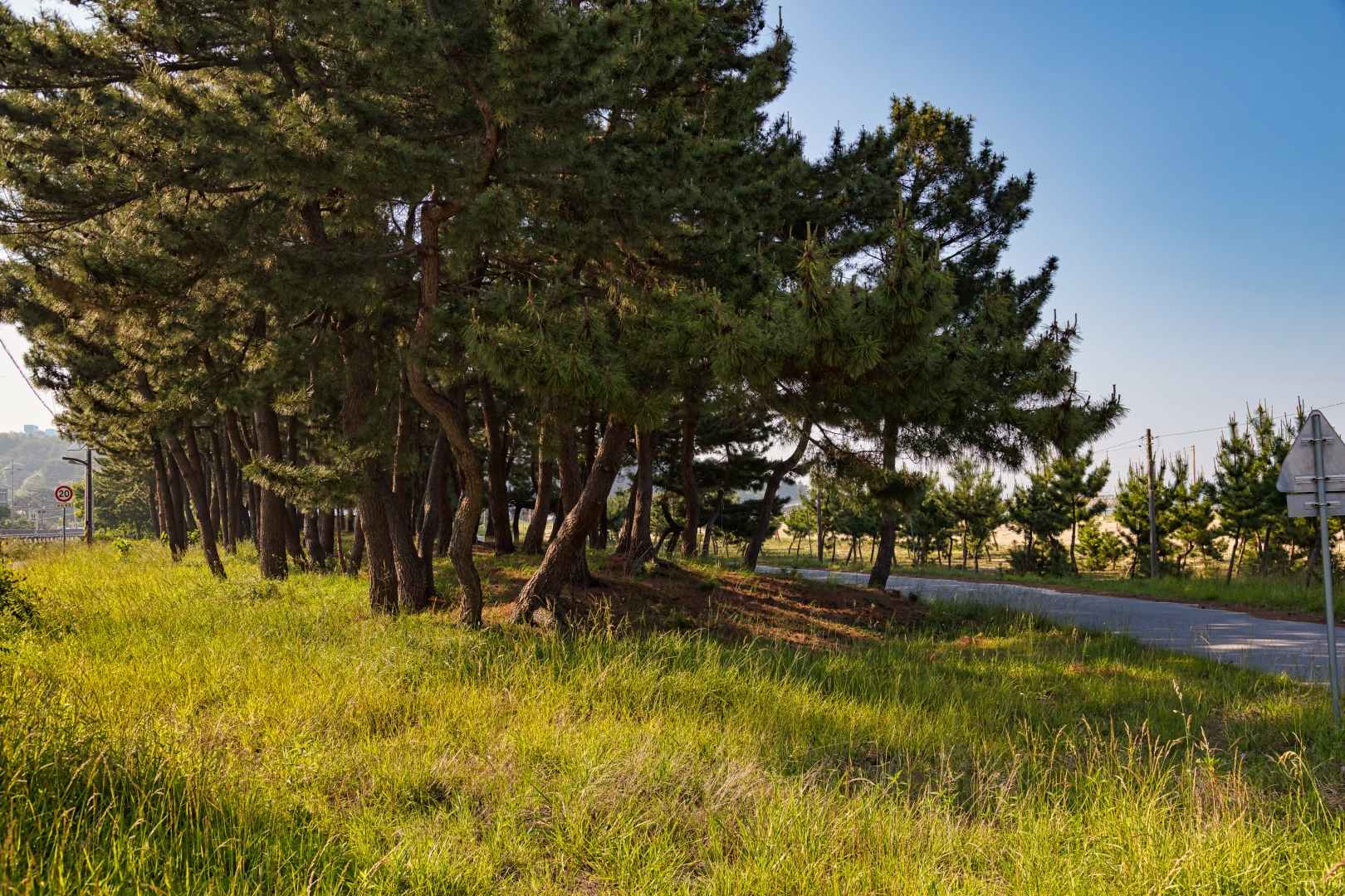 양양 광진해변 캠핑