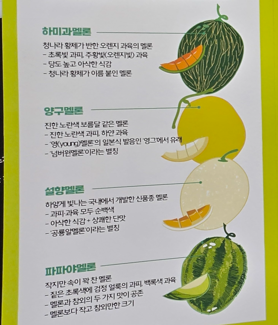 고령 멜론 종류