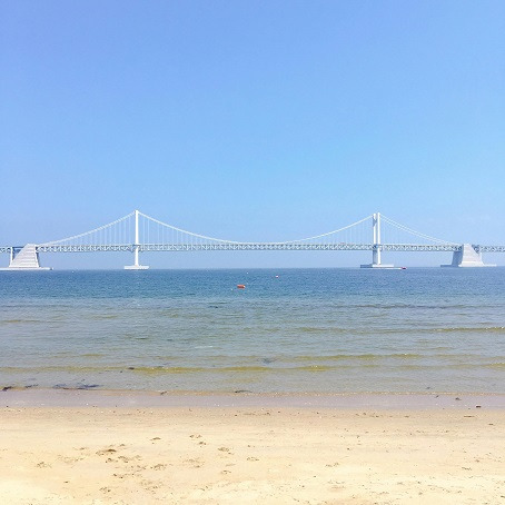 부산 러닝 명소 중 하나인 광안대교의 낮 모습