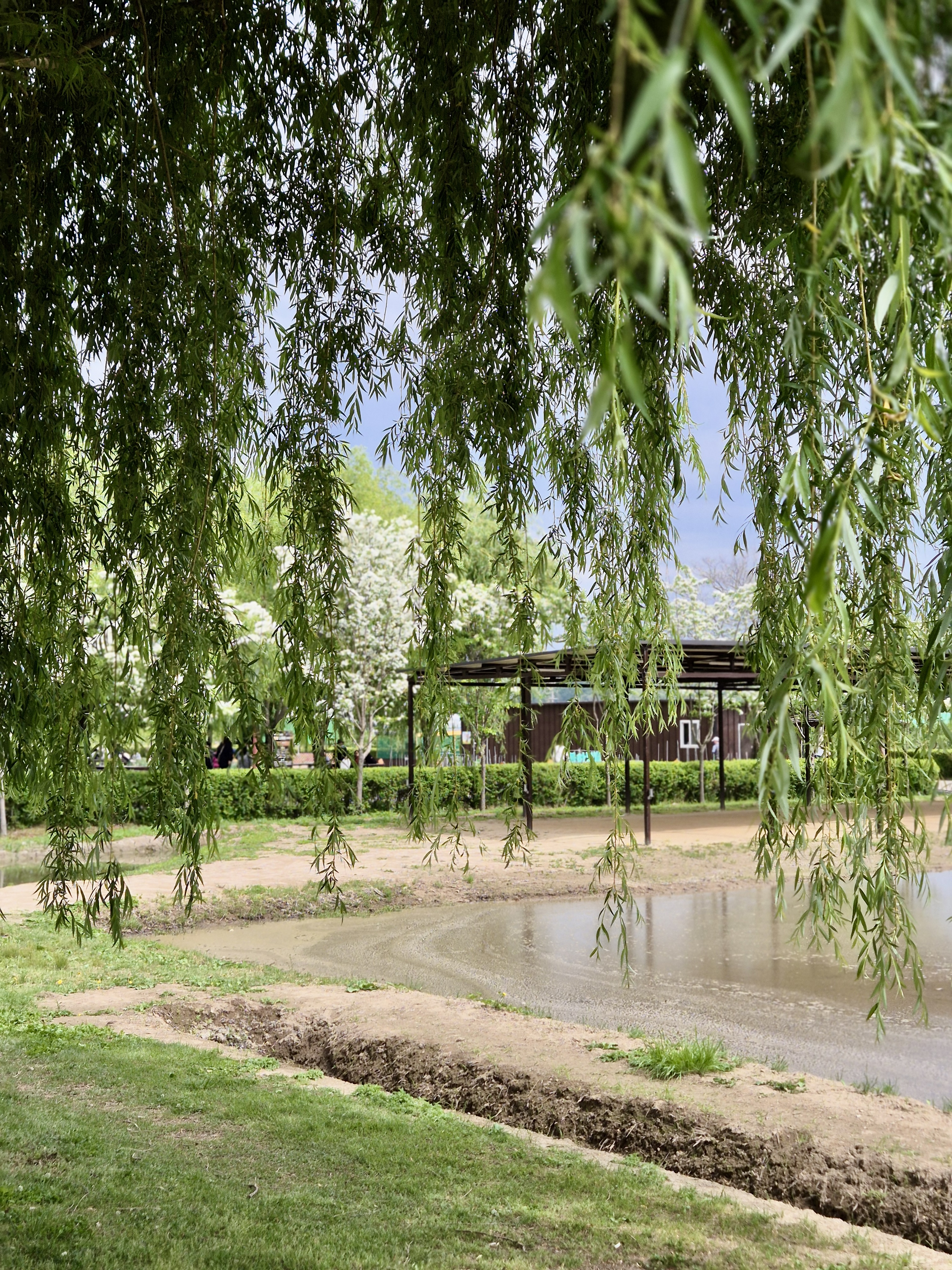 김해 봉하마을 생태문화공원