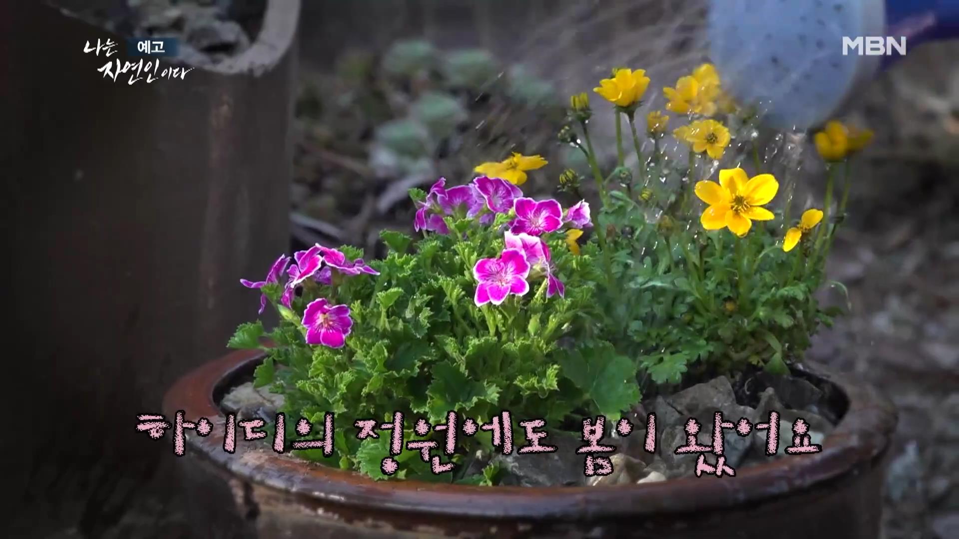 나는-자연인이다-이승윤