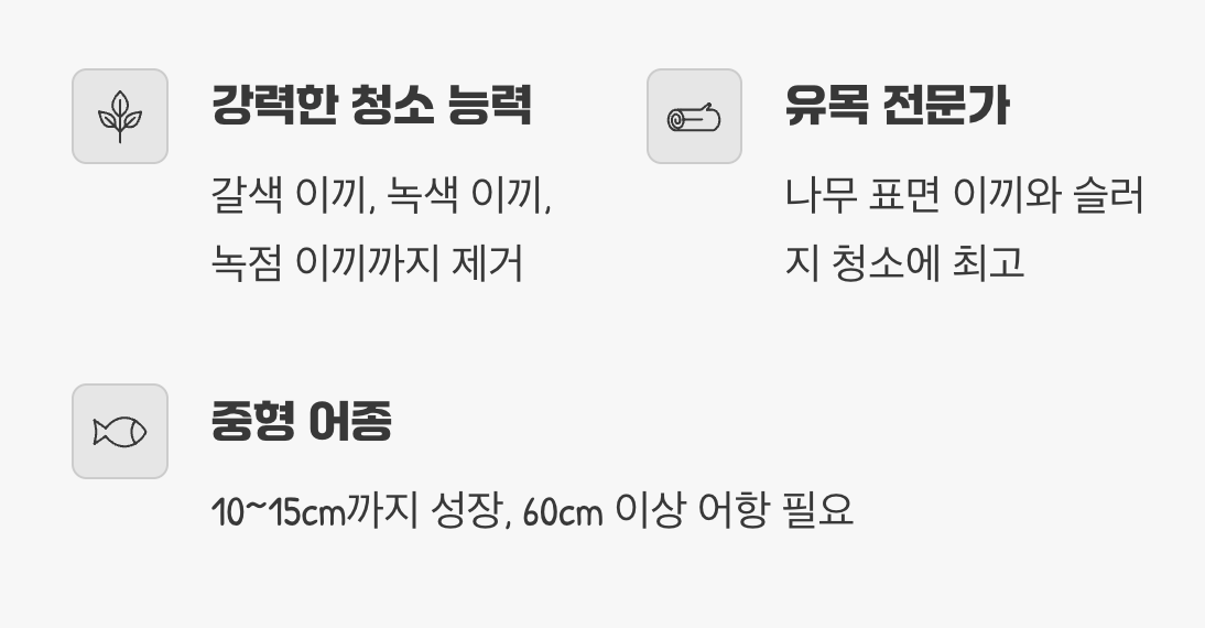 실이끼의 천적, 날쌘돌이 시아미즈 알지이터