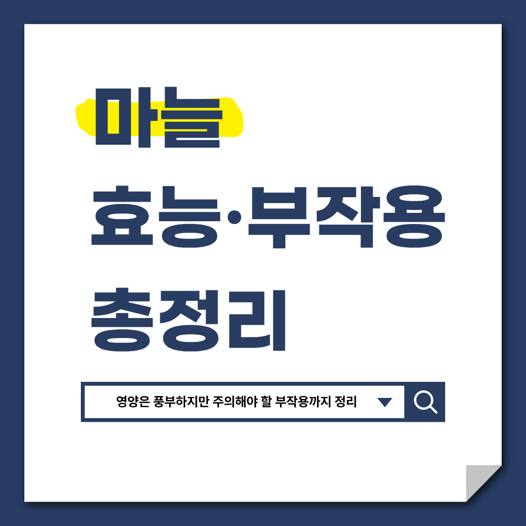 마늘 효능 부작용