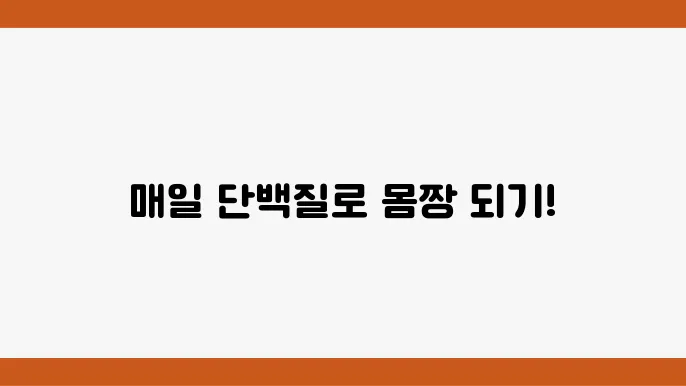 매일 먹으면 좋을 고단백질 식품 알아보기