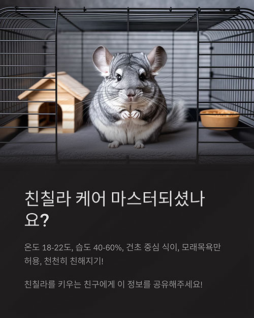 초보자를 위한 실전 팁 요약
