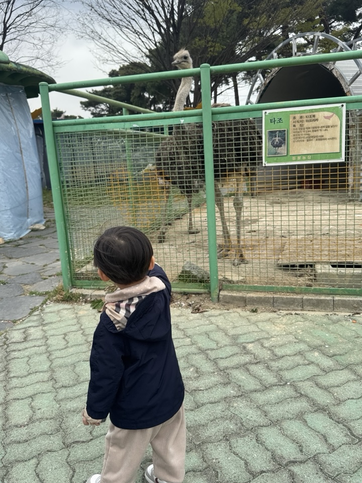 섬진강 기차마을