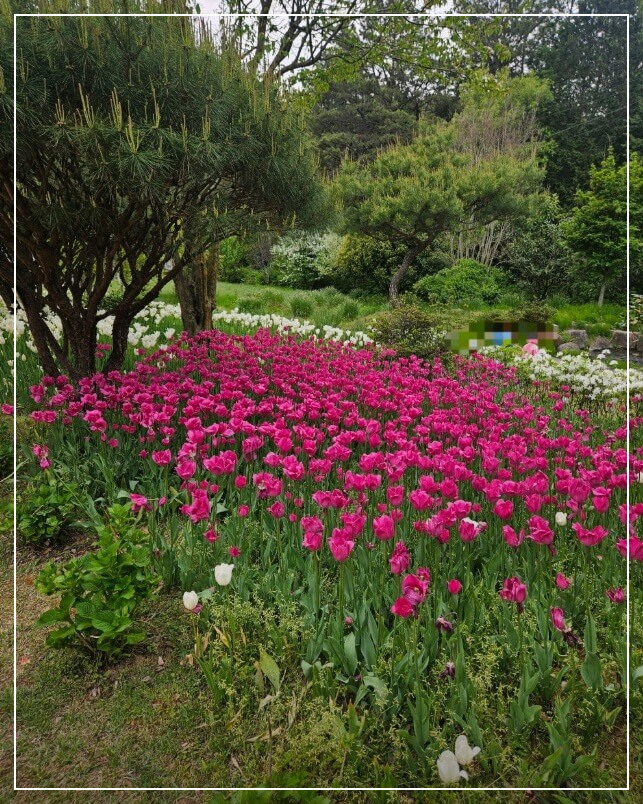 장흥 가볼만한곳 베스트10 하늘빛수목정원