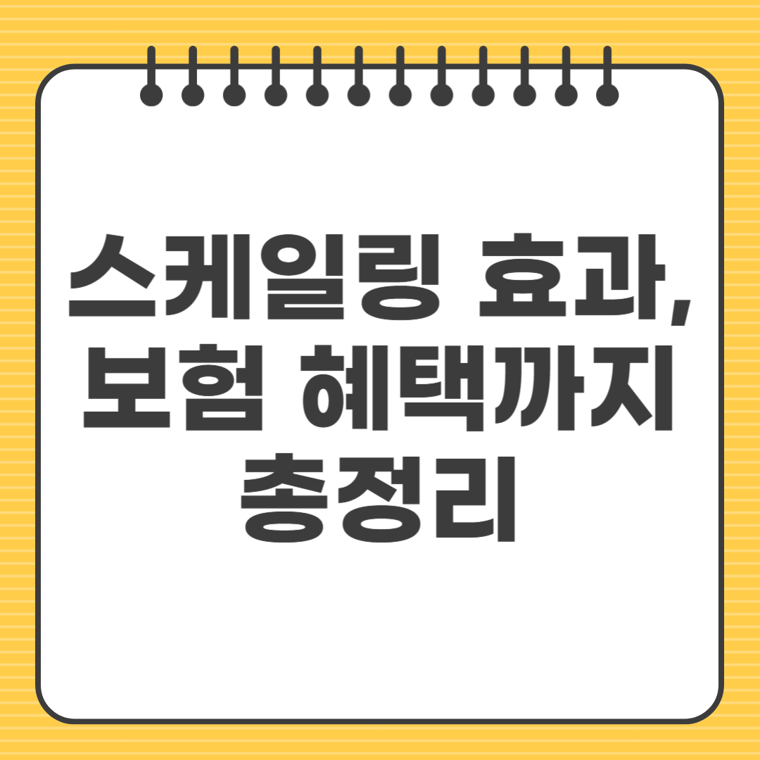 스케일링 효과와 주의사항, 보험 혜택까지 총정리