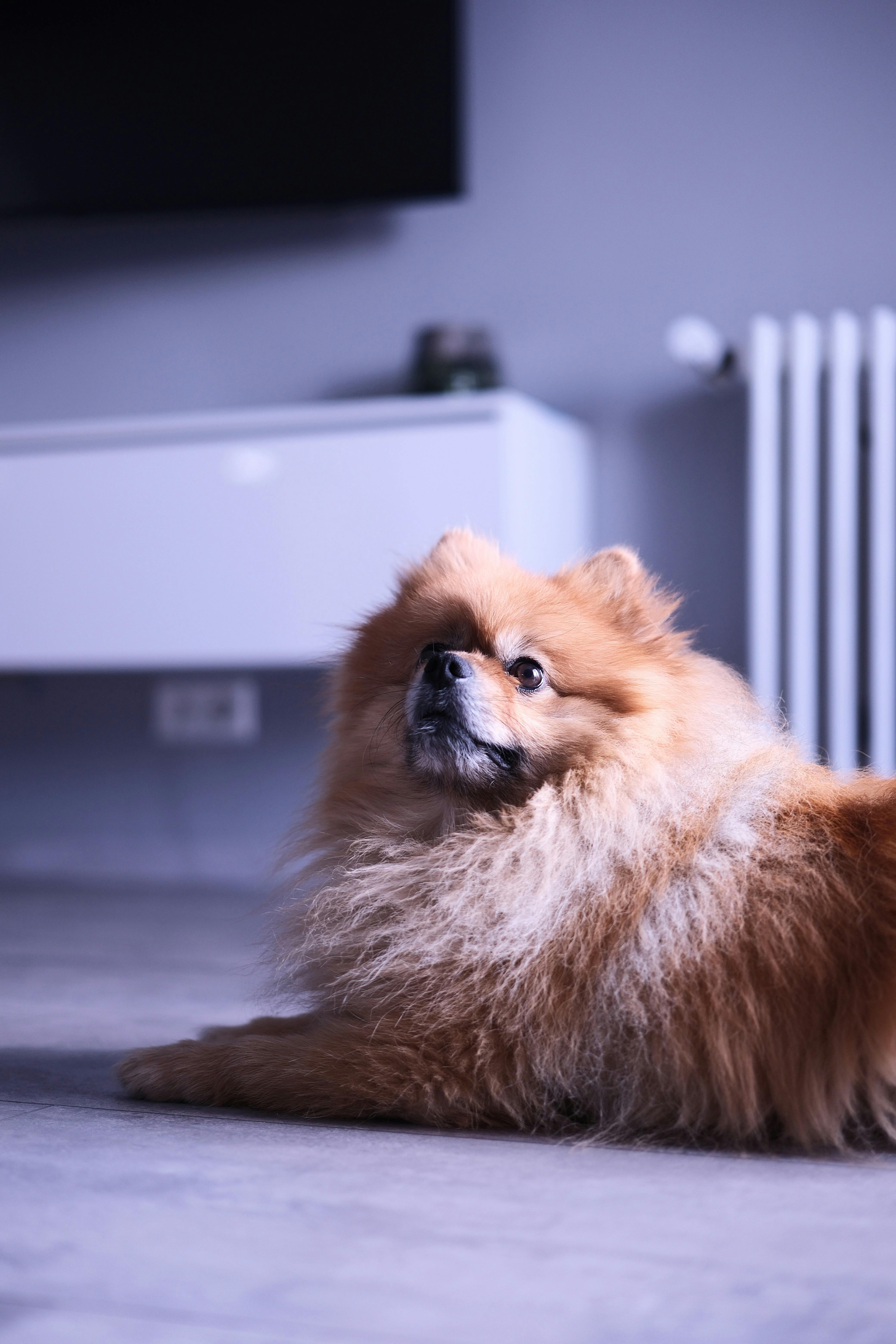 전현무 계획2 배우 이병준 프로필, 나이, 집, 결혼, 작품