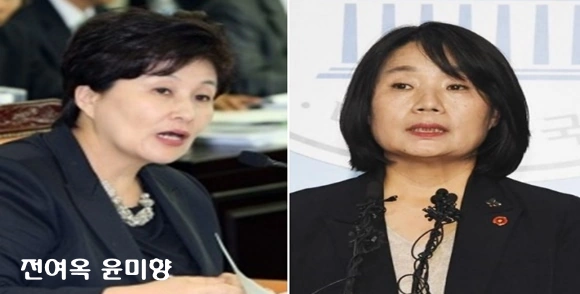 윤미향 전여옥 