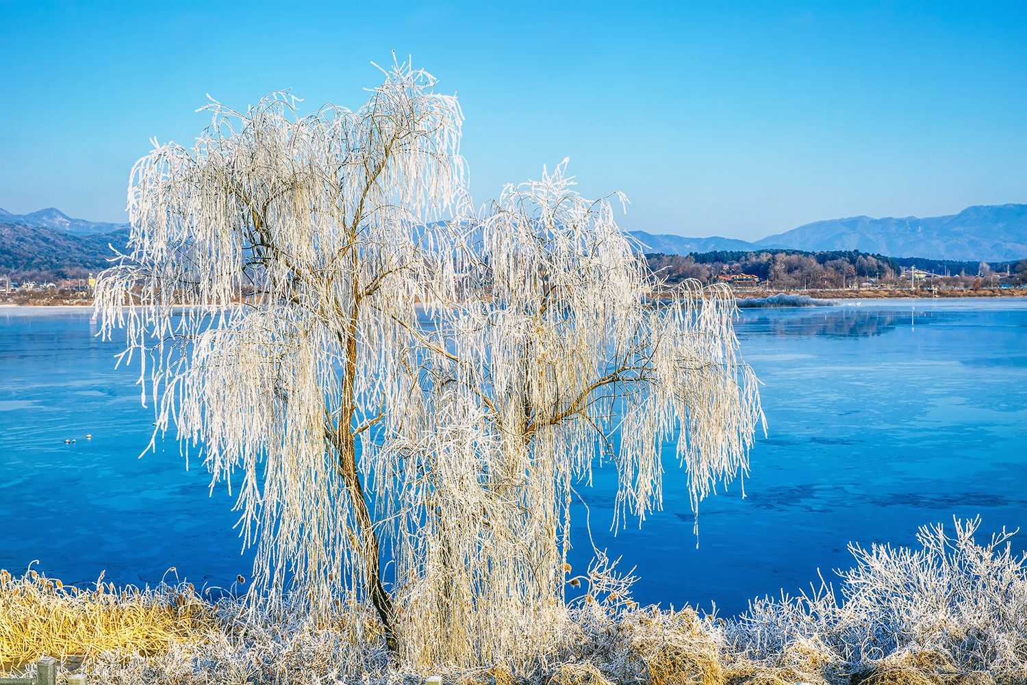 춘천 상고대 명소9