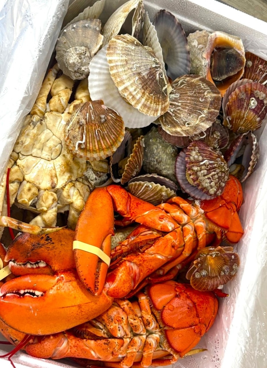 수산물 할인행사 및 대한민국 수산대전 총정리