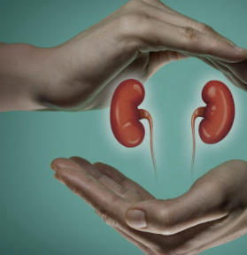 신장에 좋은 음식 7가지 조리법 나쁜 음식 등 총정리(최신)